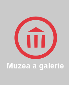 Muzea a galerie